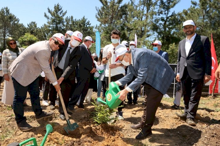Beykoz’da “Hoş Geldin Bebek Ormanı” Kuruldu