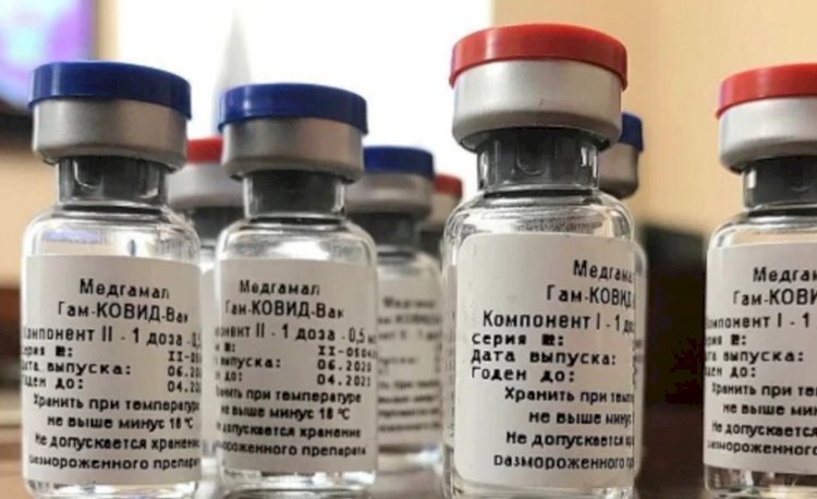 Almanya'dan Sinovac ve Sputnik Aşısına Vize Engeli