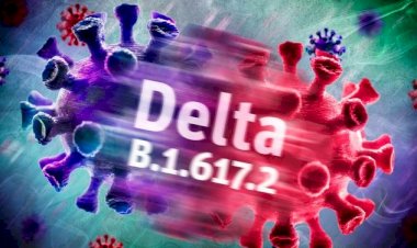 Delta varyantı hakkında ne biliniyor?