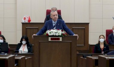Hürriyet yazarı Selvi: Erdoğan'ın müjdesi ve bir adım sonrası