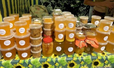 “Honey Ternopil” Uluslararası Bal Festivali 25 Temmuz’da