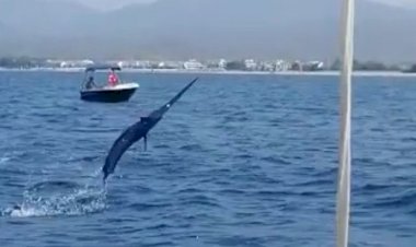 FETHİYE’DE OLTAYA 3 METRELİK KILIÇ BALIĞI TAKILDI!