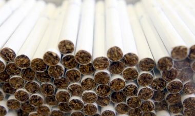 İngiltere'de 10 yıl içinde Marlboro satılmayacak