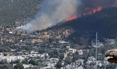 Bodrum'da orman yangını: Ev ve otellerin boşaltılması için anonslar yapılıyor