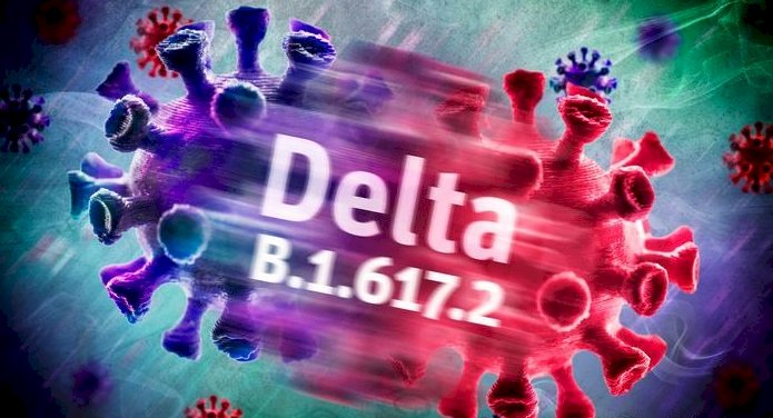 Delta varyantı hakkında ne biliniyor?