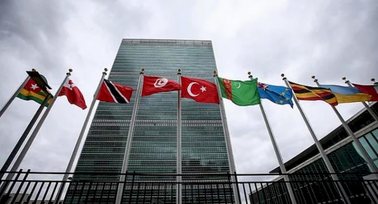 BM Güvenlik Konseyi'nden Erdoğan'ın Kıbrıs pozisyonuna ilişkin kınama