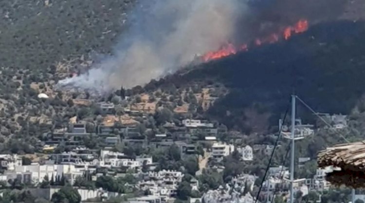 Bodrum'da orman yangını: Ev ve otellerin boşaltılması için anonslar yapılıyor
