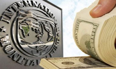 Dolara yatırım yapanlar dikkat. IMF'den doları etkileyecek dev hamle