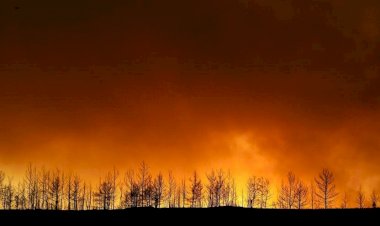 Dünya Türkiye’deki yangınları korkuyla izliyor