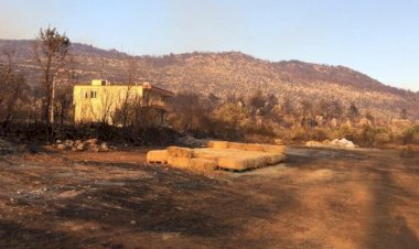 Orman-İş’ten çarpıcı Manavgat raporu: Daha sık ve şiddetli yangınlar olacak