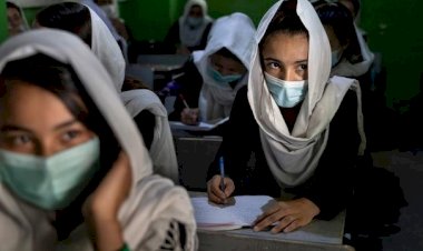 "Kadınlar Taliban götürmesin diye çatılardan atlıyor"