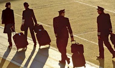 THY’nin kabin memurları Kanada’ya iltica ediyor