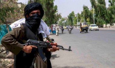 'Taliban, Afganistan'da insan avına başladı'
