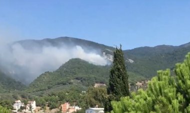 Kazdağları'nda orman yangını