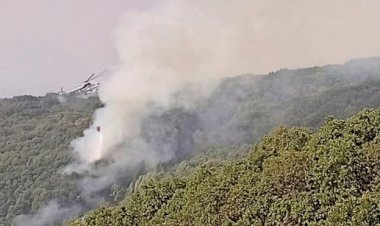 Tunceli'de orman yangınına müdahale sürüyor