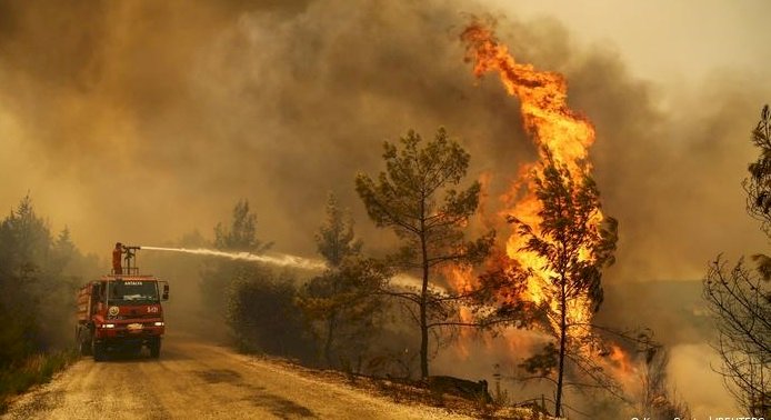 Orman yangınları: Belediye başkanlarından "yardım" çağrısı