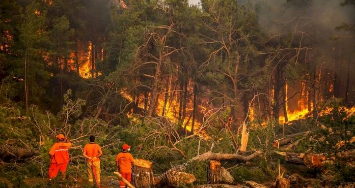 Manavgat'taki yangını 12 yaşındaki çocuğun çıkardığı belirlendi
