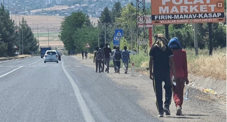 Türkiye’den Amerika’ya Afgan Göçü Tepkisi
