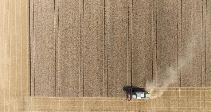 Almanya’da 2021 tahıl hasadında düşüş