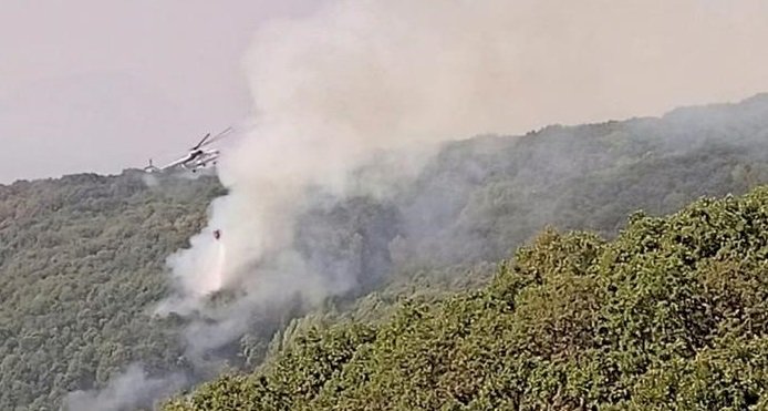 Tunceli'de orman yangınına müdahale sürüyor