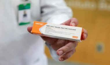 Almanya'da aşı kararı: Sinovac aşısı olanlara seyahat kısıtlaması hukuki