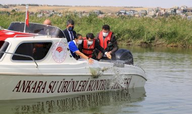 MOGAN GÖLÜ’NDE 100 BİN SAZAN