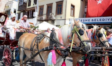6. Ovacık Tarım ve Sakız Koyunu Festivali başlıyor!   