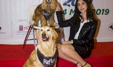 PET İZMİR DAHA DA BÜYÜDÜ