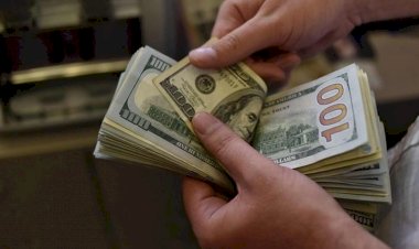 Dolar tüm zamanların en yüksek seviyesinde