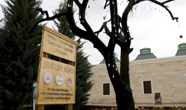 ’Şehitler Ağacı’ndan şehit askerlerin künyelerini çaldılar