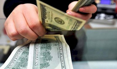 Dolar/TL, 8,93'ü geçerek rekor tazeledi