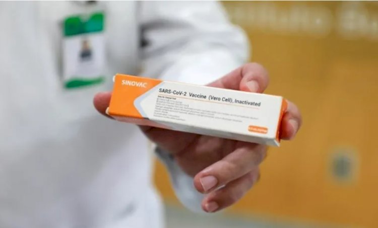 Almanya'da aşı kararı: Sinovac aşısı olanlara seyahat kısıtlaması hukuki