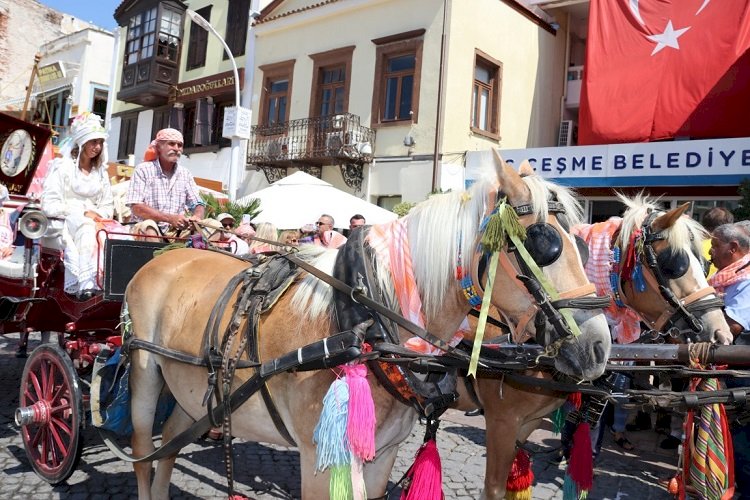 6. Ovacık Tarım ve Sakız Koyunu Festivali başlıyor!   