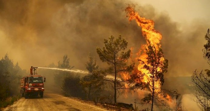 Sayıştay'dan OGM'ye: Yangın planları yok