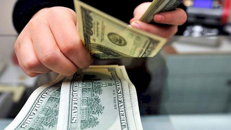 Dolar/TL, 8,93'ü geçerek rekor tazeledi
