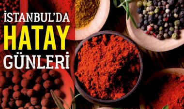 HATAY İSTANBUL’LA BULUŞUYOR!