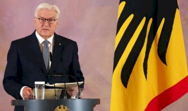 Steinmeier'den Türklere Nazım Hikmet'li teşekkür