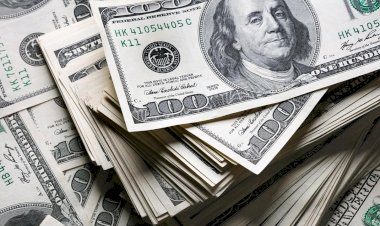 Dolar tarihi zirvesini test etti; gözler Merkez Bankası'nın yatırımcı toplantısında