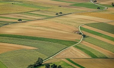 Ukrayna, yabancı yatırımcılar tarafından kontrol edilen dünyanın en büyük ikinci arazi alanıdır