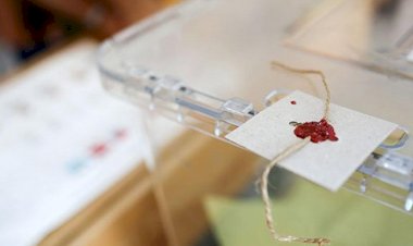 Çarpıcı anket sonucu: Seçmenin yüzde 54’ü ‘AKP iktidardan düşecek’ dedi