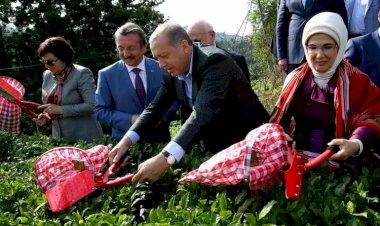 Cemil Çiçek’ten yargı değerlendirmesi: Kimlerle fotoğrafları çıkıyor, çay toplamaya, zeytin toplamaya bile gidiyorlar