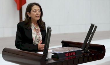 OYA ERSOY: Mersin Erdemli' de ardıç ağaçları biyokütle enerji için mi kesiliyor?