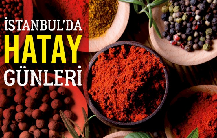 HATAY İSTANBUL’LA BULUŞUYOR!