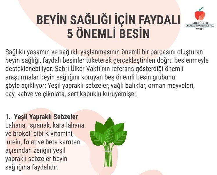 BEYİN SAĞLIĞI İÇİN FAYDALI 5 ÖNEMLİ BESİN