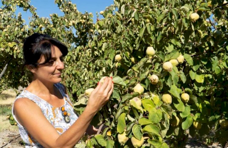 Akademiyi Bıraktı Çiftçilik Yapıyor