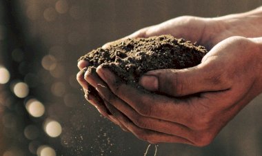 Toprağı korursan yaşamı da  biyolojik çeşitliliği de korursun