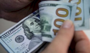 Dolar: Ekonomistler Türk Lirası'nın değer kaybını nasıl yorumladı?