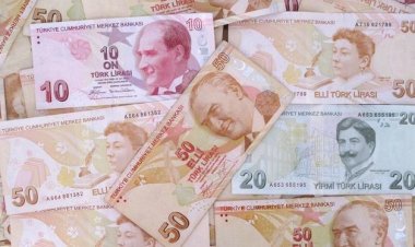 Yabancı ekonomistler: TCMB'nin rotası tehlikeli