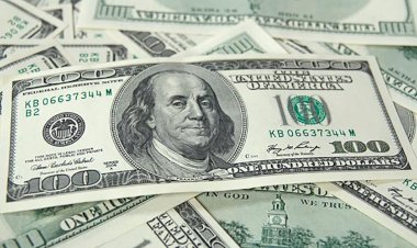 Dolar 11.31 lirayı gördü