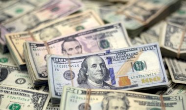 Doların Yükselişine Esnaf ve Halk Nasıl Bakıyor?